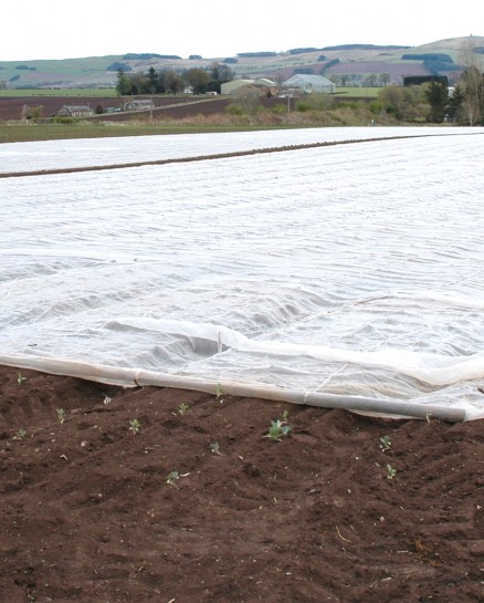 Cropcover